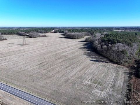 Photo of TBD S Old Wire Road, Red Springs, NC 28377 (MLS # 756322)