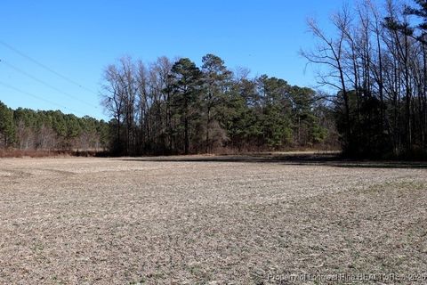 Tiny photo for TBD S Old Wire Road, Red Springs, NC 28377 (MLS # 756322)