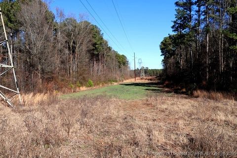 Tiny photo for TBD S Old Wire Road, Red Springs, NC 28377 (MLS # 756322)