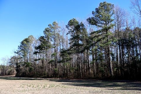 Tiny photo for TBD S Old Wire Road, Red Springs, NC 28377 (MLS # 756322)