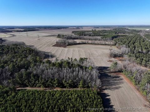 Tiny photo for TBD S Old Wire Road, Red Springs, NC 28377 (MLS # 756322)