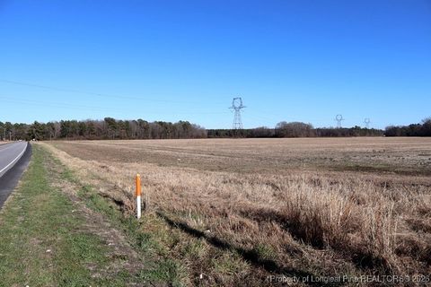 Tiny photo for TBD S Old Wire Road, Red Springs, NC 28377 (MLS # 756322)