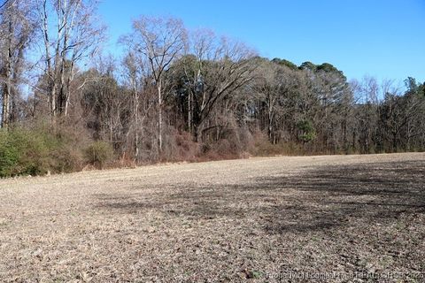 Tiny photo for TBD S Old Wire Road, Red Springs, NC 28377 (MLS # 756322)