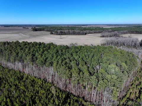 Tiny photo for TBD S Old Wire Road, Red Springs, NC 28377 (MLS # 756322)