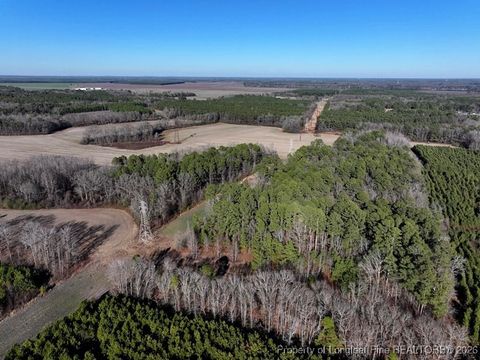 Tiny photo for TBD S Old Wire Road, Red Springs, NC 28377 (MLS # 756322)