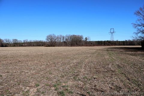 Tiny photo for TBD S Old Wire Road, Red Springs, NC 28377 (MLS # 756322)