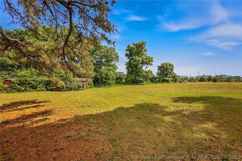 Tiny photo for 878 Vance Street Extension, Red Springs, NC 28377 (MLS # 761777)