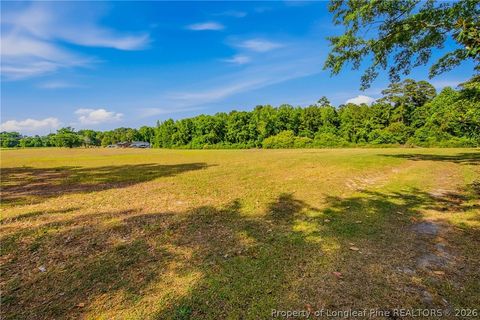 Tiny photo for 878 Vance Street Extension, Red Springs, NC 28377 (MLS # 761777)