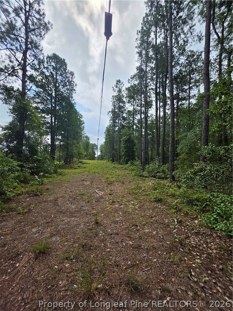 Tiny photo for West Road, Cameron, NC 28326 (MLS # 767076)