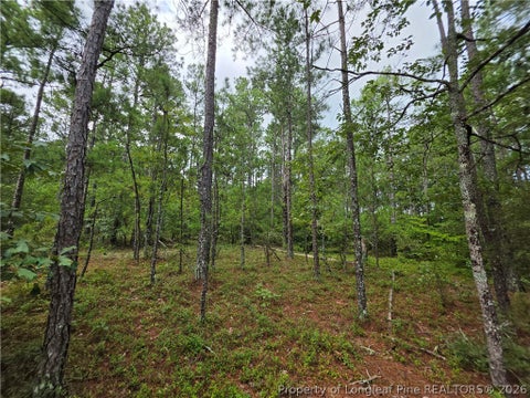 Tiny photo for West Road, Cameron, NC 28326 (MLS # 767076)