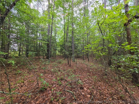 Tiny photo for West Road, Cameron, NC 28326 (MLS # 767076)