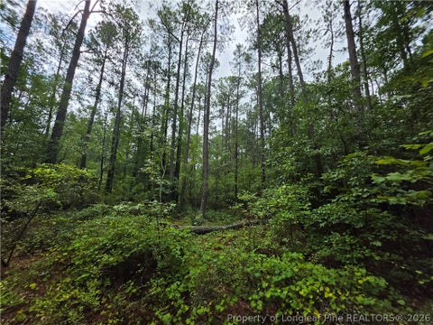 Tiny photo for West Road, Cameron, NC 28326 (MLS # 767076)