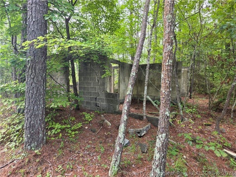 Tiny photo for West Road, Cameron, NC 28326 (MLS # 767076)