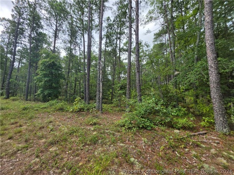 Tiny photo for West Road, Cameron, NC 28326 (MLS # 767076)