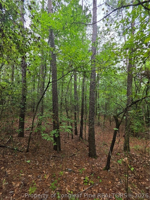 Tiny photo for West Road, Cameron, NC 28326 (MLS # 767076)