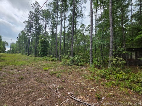 Tiny photo for West Road, Cameron, NC 28326 (MLS # 767076)