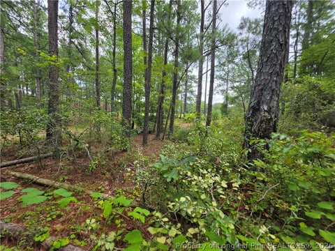 Tiny photo for West Road, Cameron, NC 28326 (MLS # 767076)