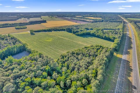 Tiny photo for 00 Pope Wray (Lot 2) Road, Turkey, NC 28393 (MLS # 762685)