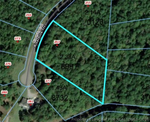 267 RIVERHILLS TRL, ROCKINGHAM, NC 28379 - Image 49d4c4bbb3e0559aa1b11ffccd572f8a/3984287870