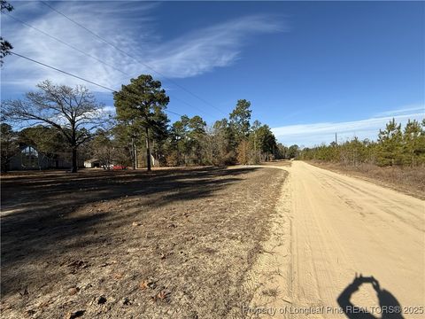 Tiny photo for TBD Plantation Road, Laurinburg, NC 28352 (MLS # 754939)