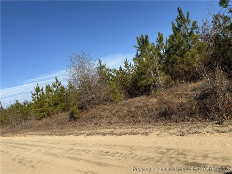 Tiny photo for TBD Plantation Road, Laurinburg, NC 28352 (MLS # 754939)