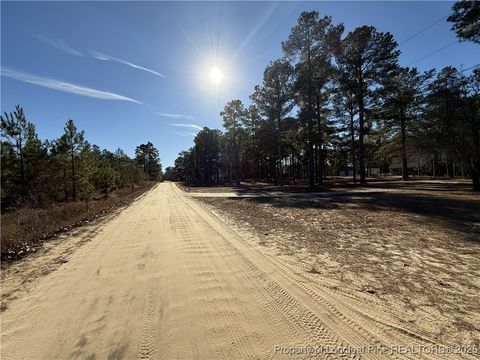 Tiny photo for TBD Plantation Road, Laurinburg, NC 28352 (MLS # 754939)