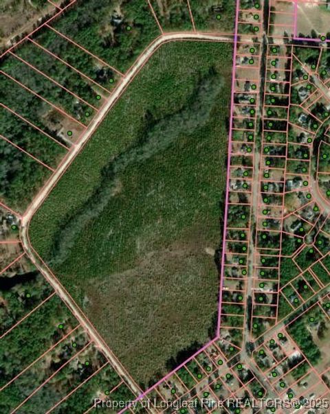 Tiny photo for TBD Plantation Road, Laurinburg, NC 28352 (MLS # 754939)