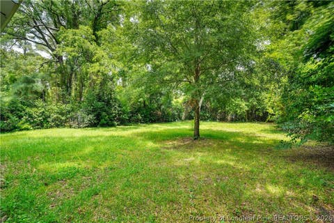 Tiny photo for 307 Bryan Street, Fayetteville, NC 28305 (MLS # 766325)
