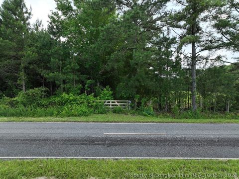 Tiny photo for 8125 Carlos Road, Linden, NC 28356 (MLS # 762569)