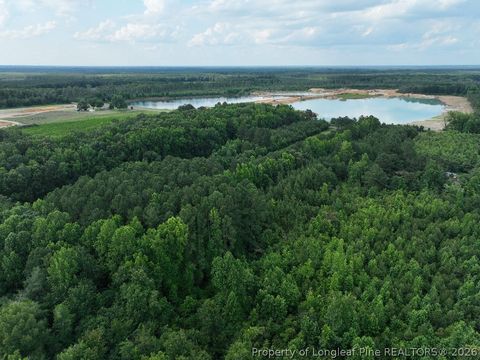 Tiny photo for 8125 Carlos Road, Linden, NC 28356 (MLS # 762569)