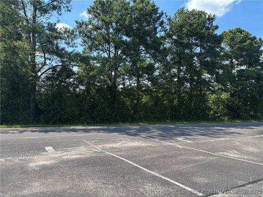 CANDY PARK ROAD, PEMBROKE, NC 28372 - Image 4b6c2671ca21f6cb6a6d3fbb6527d705/2924159701