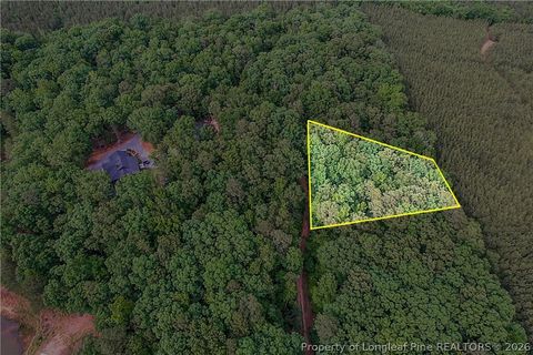 Tiny photo for 00 Pony Trl Trail, Carthage, NC 28327 (MLS # 762450)