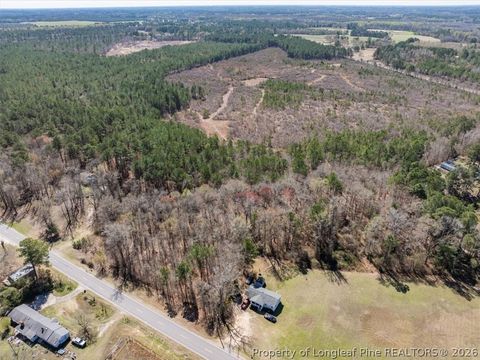 Tiny photo for 532 N Shannon Road, Red Springs, NC 28377 (MLS # 758898)