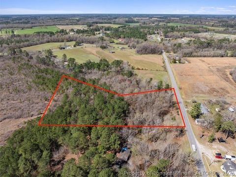 Tiny photo for 532 N Shannon Road, Red Springs, NC 28377 (MLS # 758898)