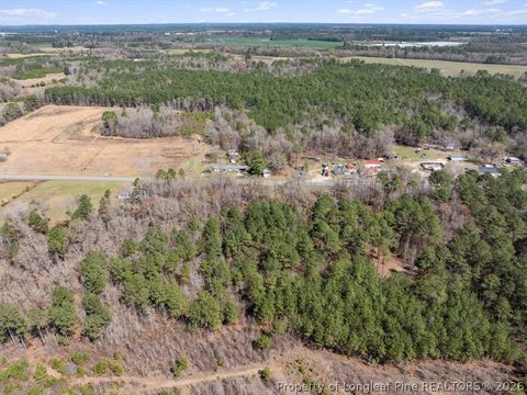 Tiny photo for 532 N Shannon Road, Red Springs, NC 28377 (MLS # 758898)