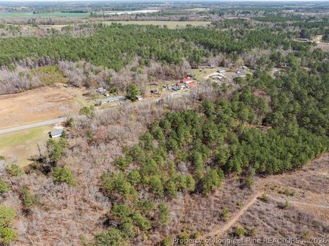 Tiny photo for 532 N Shannon Road, Red Springs, NC 28377 (MLS # 758898)