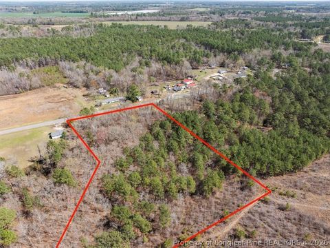 Tiny photo for 532 N Shannon Road, Red Springs, NC 28377 (MLS # 758898)