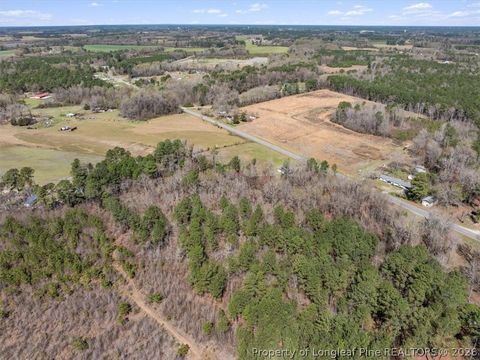 Tiny photo for 532 N Shannon Road, Red Springs, NC 28377 (MLS # 758898)