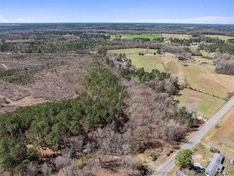 Tiny photo for 532 N Shannon Road, Red Springs, NC 28377 (MLS # 758898)