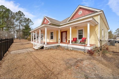 Tiny photo for 4601 Linden Road, Linden, NC 28356 (MLS # 756693)