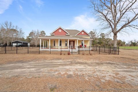 Photo of 4601 Linden Road, Linden, NC 28356 (MLS # 756693)