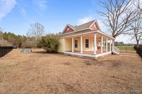 Tiny photo for 4601 Linden Road, Linden, NC 28356 (MLS # 756693)