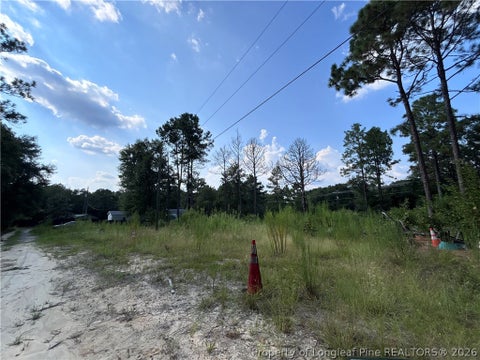 Tiny photo for 813 Wiregrass Road, Hamlet, NC 28345 (MLS # 768853)