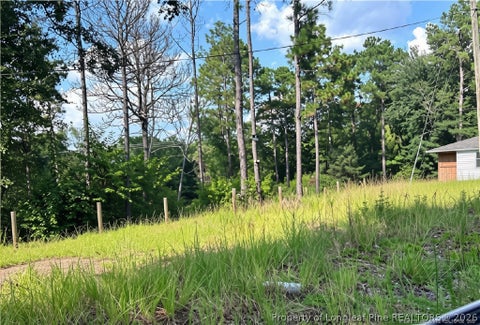 Tiny photo for 813 Wiregrass Road, Hamlet, NC 28345 (MLS # 768853)