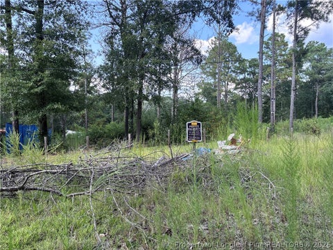 Tiny photo for 813 Wiregrass Road, Hamlet, NC 28345 (MLS # 768853)