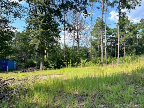 Tiny photo for 813 Wiregrass Road, Hamlet, NC 28345 (MLS # 768853)