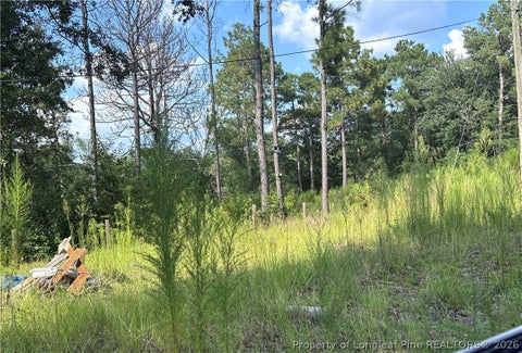 Tiny photo for 813 Wiregrass Road, Hamlet, NC 28345 (MLS # 768853)