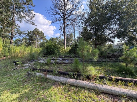 Tiny photo for 813 Wiregrass Road, Hamlet, NC 28345 (MLS # 768853)