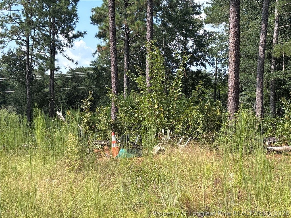 813 Wiregrass Road