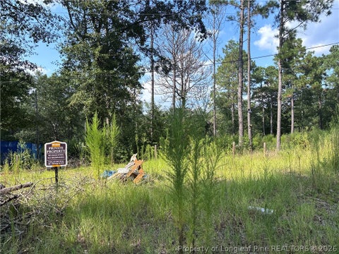 Tiny photo for 813 Wiregrass Road, Hamlet, NC 28345 (MLS # 768853)